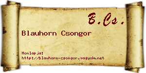 Blauhorn Csongor névjegykártya